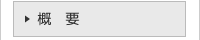 概要