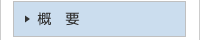 概要